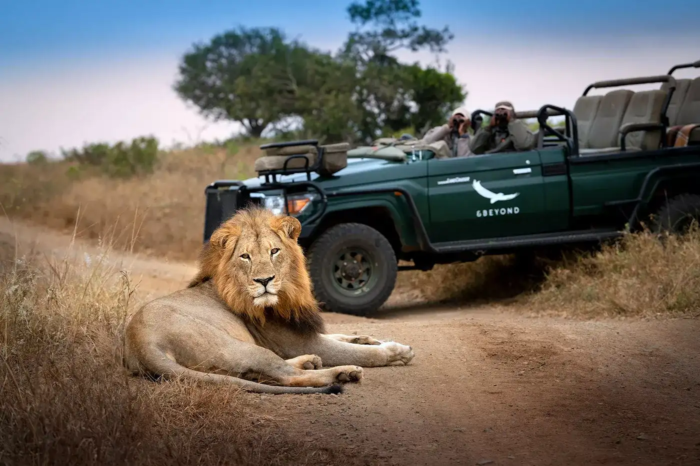 Pacote de viagem África do Sul e Safari Reservas Naturais Luxury