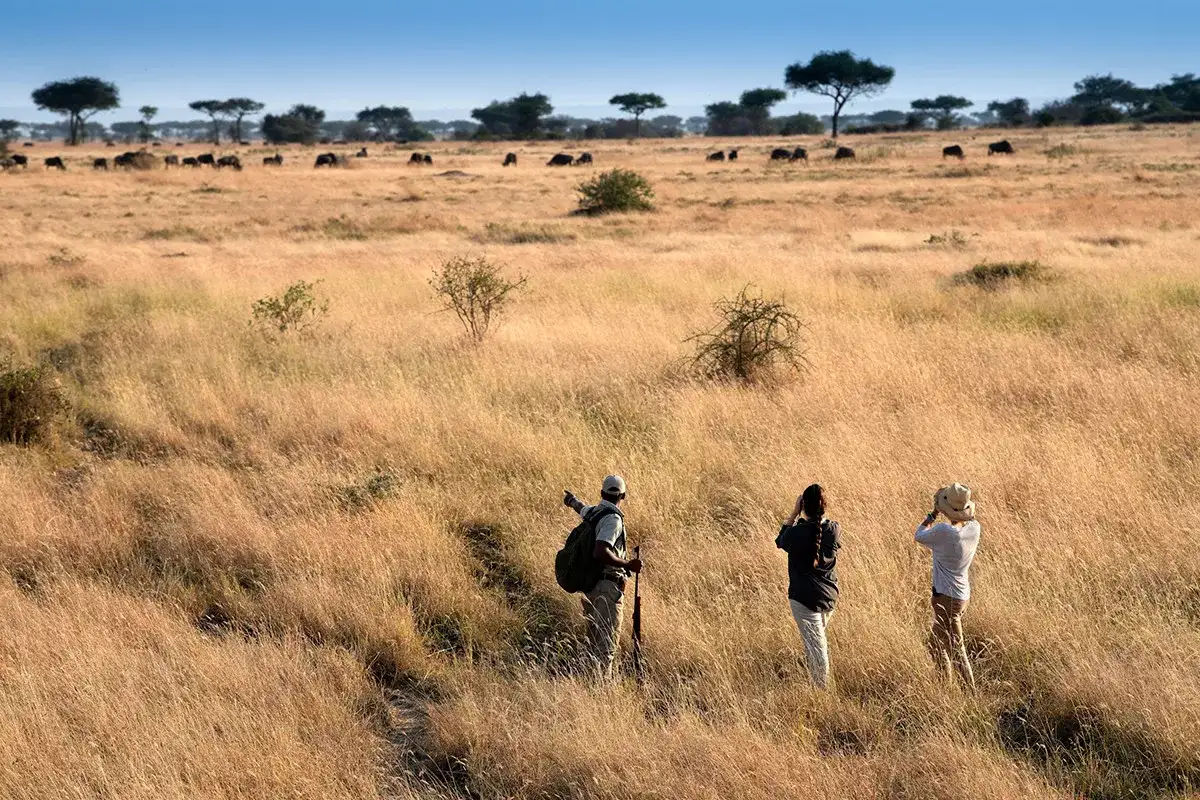 Pacote de viagem Safari África Oriental andBeyond