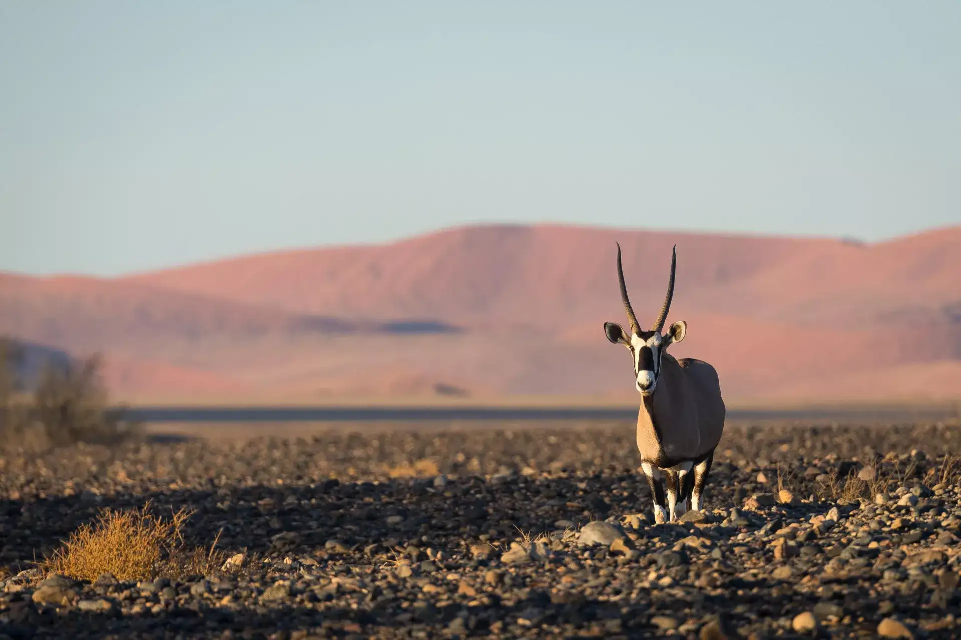 Pacote de viagem Short and Sweet Namibia by Wilderness