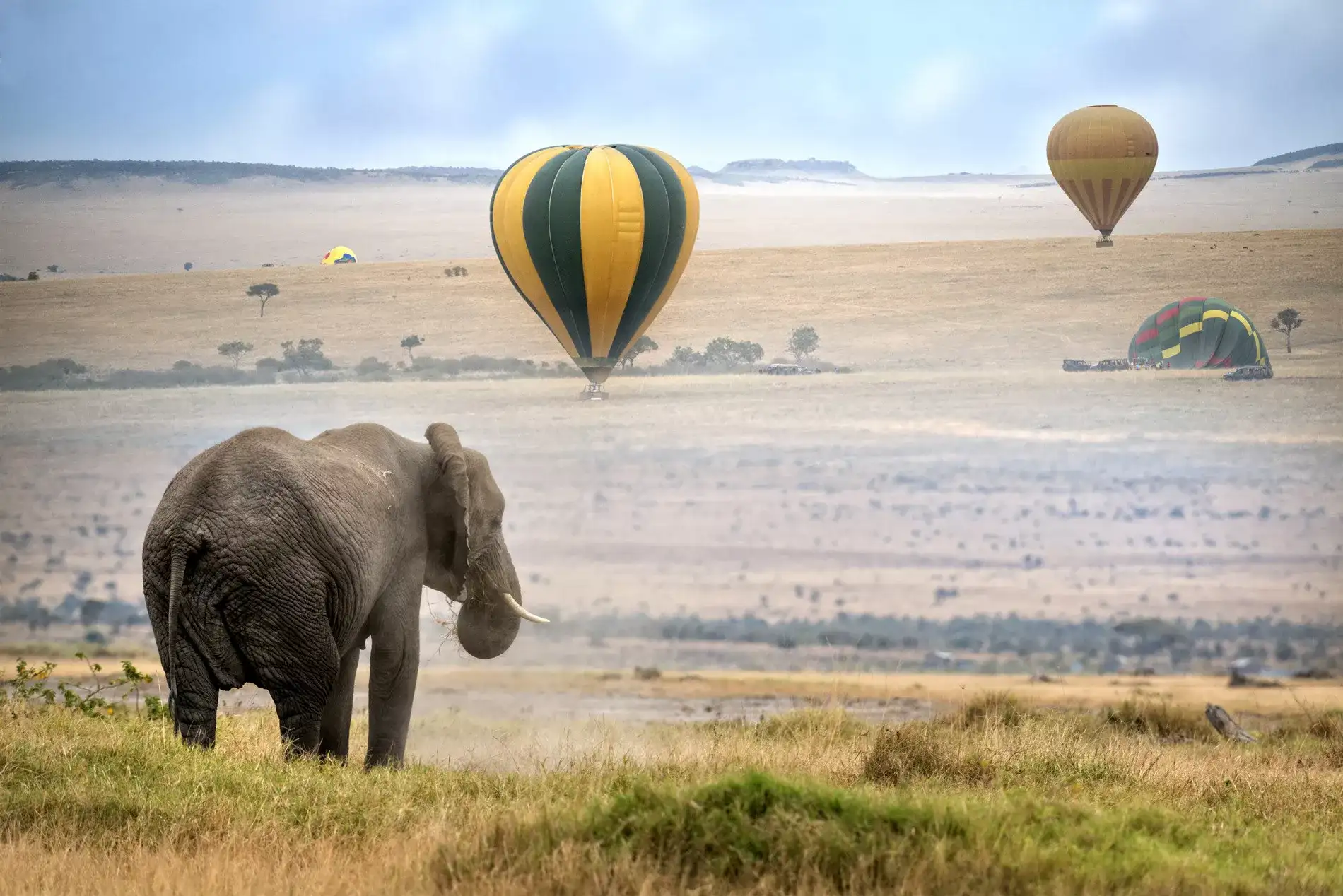 África do Sul e Quênia by Angama Mara