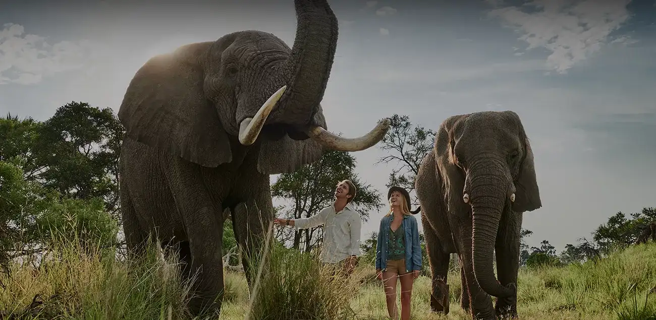 Pacote de viagem Botswana e Zâmbia by Sanctuary Retreats