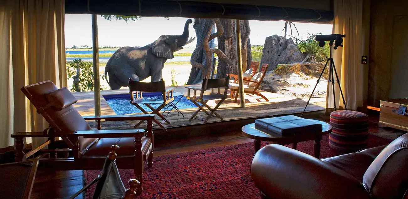 Botswana e Zimbabue by Great Plains Conservation