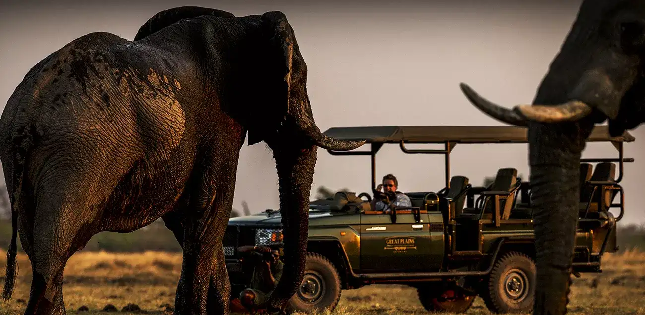 Pacote de viagem Botswana by Great Plains Conservation