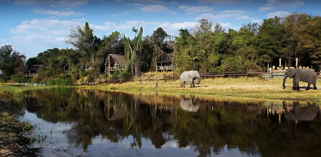 Pacote de viagem Botswana Highlights