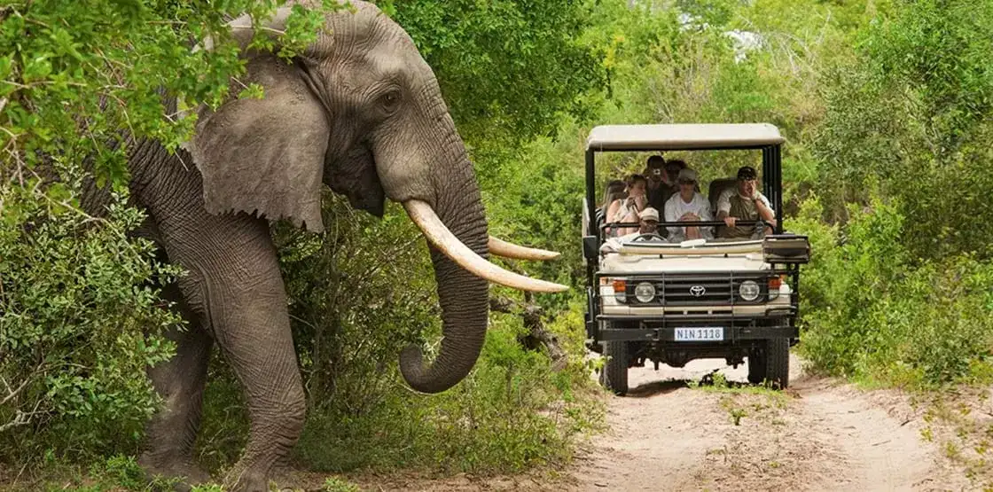 Pacote de viagem Botswana & Cape Town