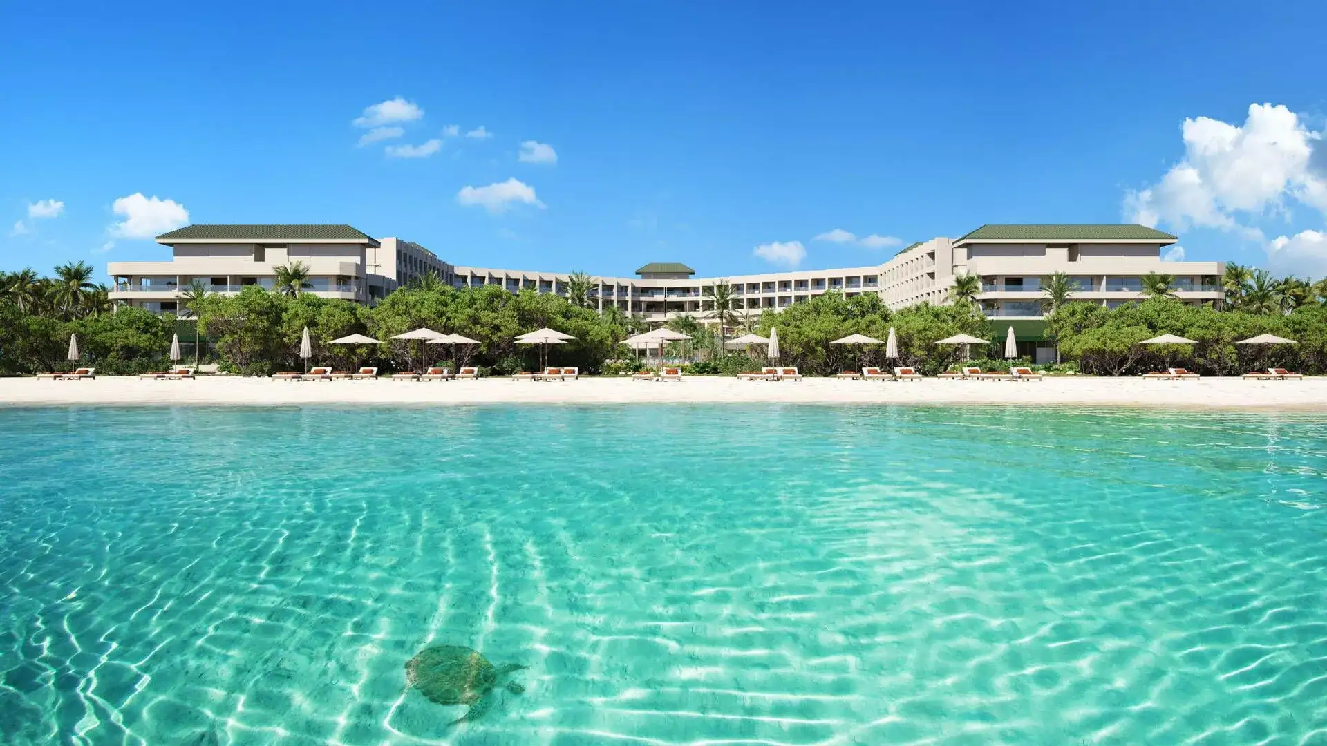 Pacote de viagem JOIA Aruba by Iberostar