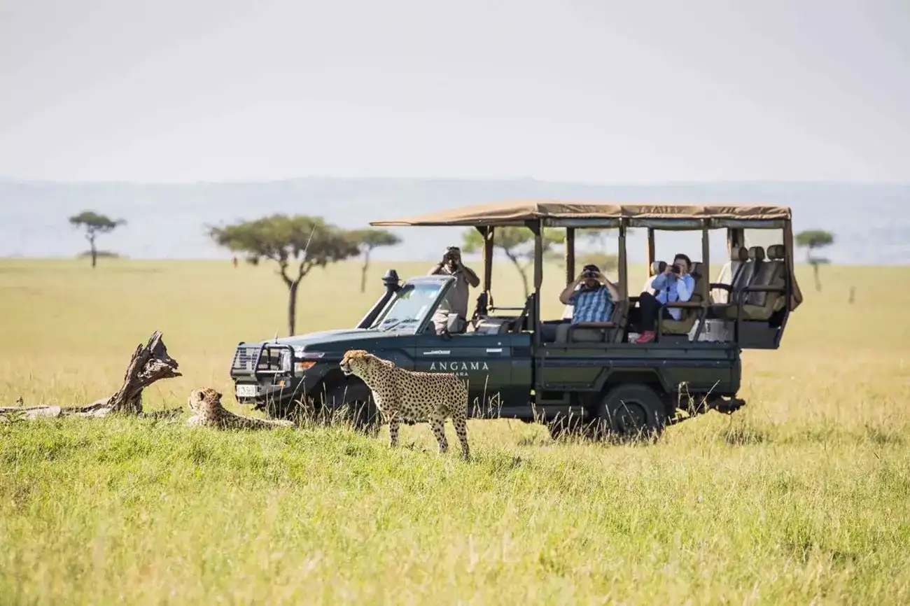 Pacote de viagem Safari Deluxe em Angama Mara