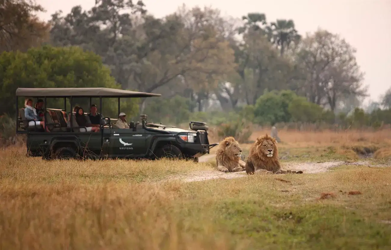 Pacote de viagem Zimbábue e Botswana Deluxe com Victoria Falls & Highlights