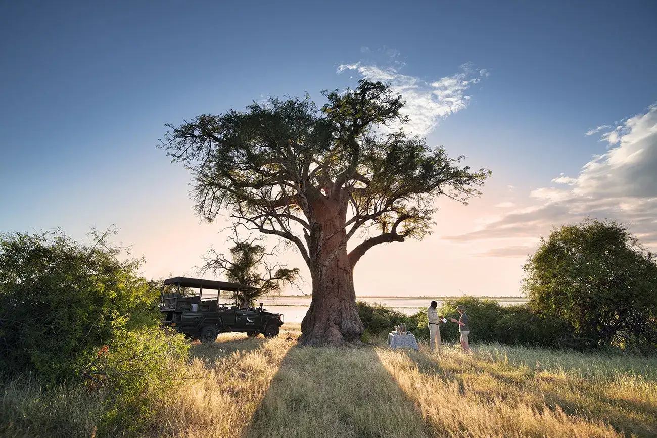 Pacote de viagem Zimbábue e Botswana Luxury com Victoria Falls & Highlights