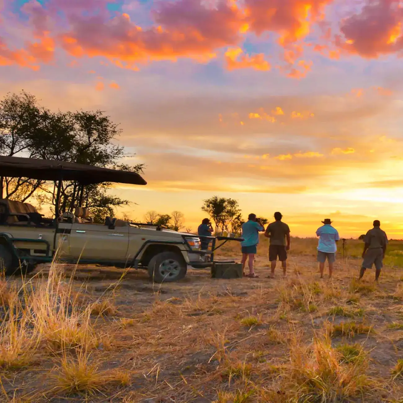 Zimbábue e Botswana Luxury com Victoria Falls & Highlights