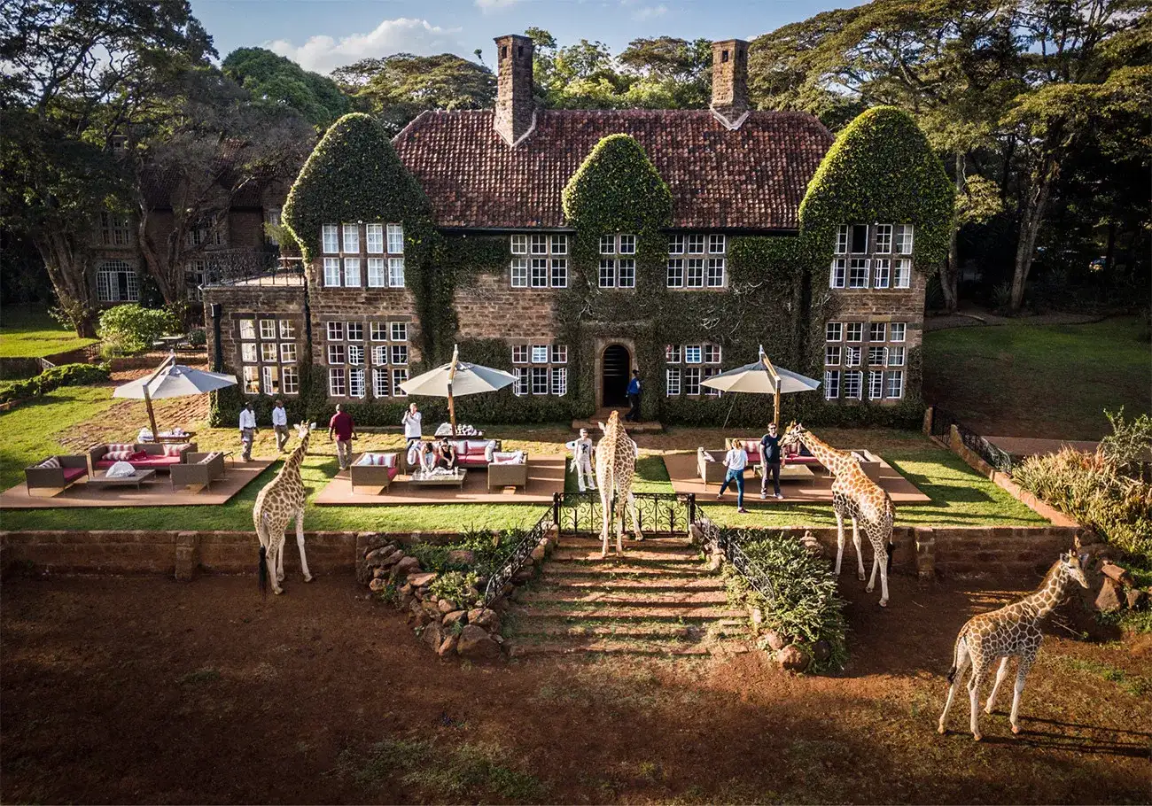 Pacote de viagem Deluxe Safari de Karibu Quênia
