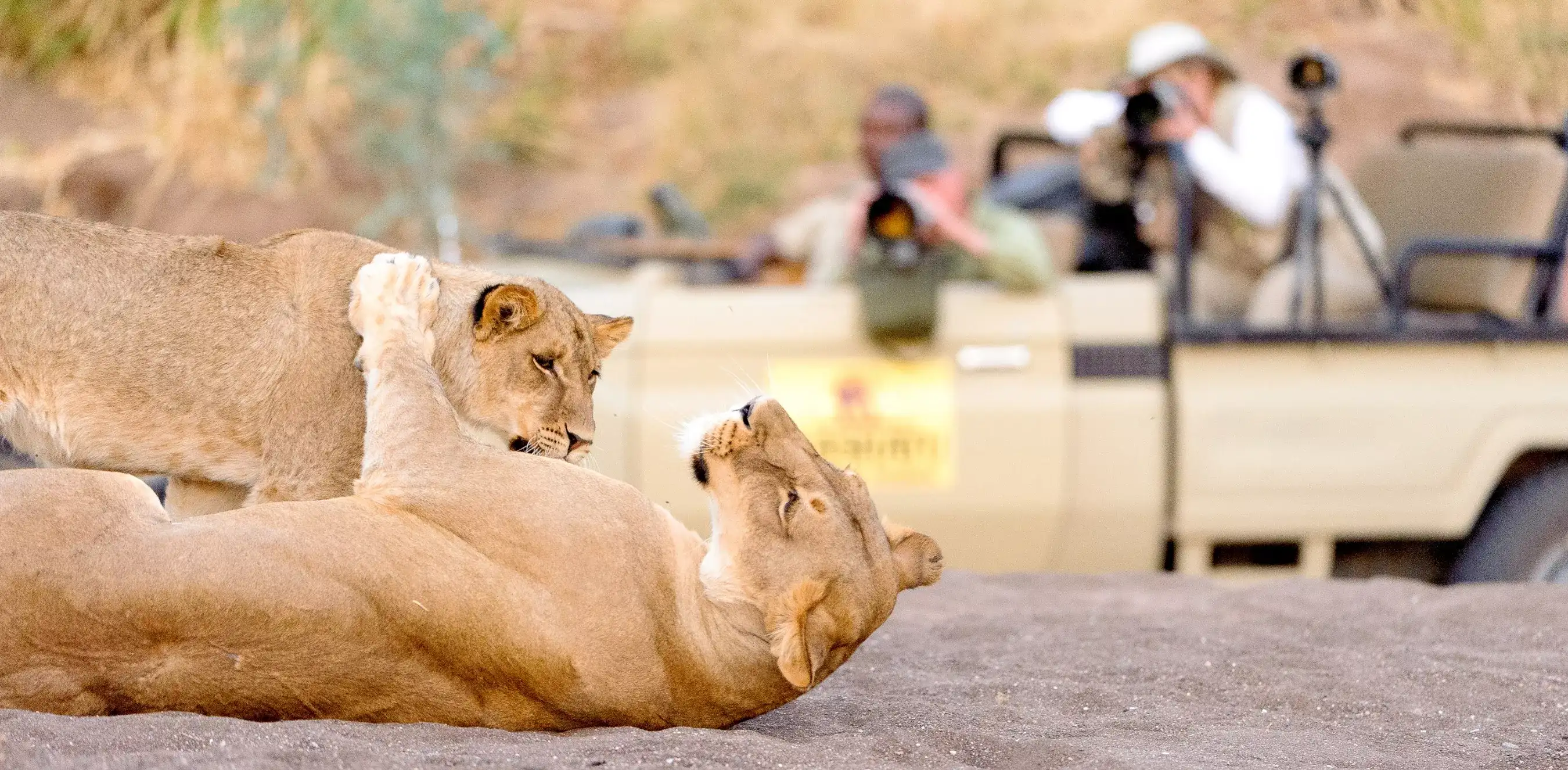 Pacote de viagem Sweet Taste of Botswana