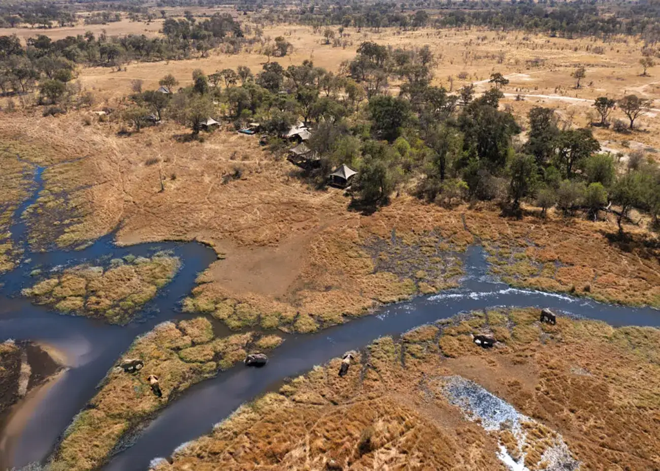 Pacote de viagem Safari de Luxo em Cataratas Vitória e Delta do Okavango