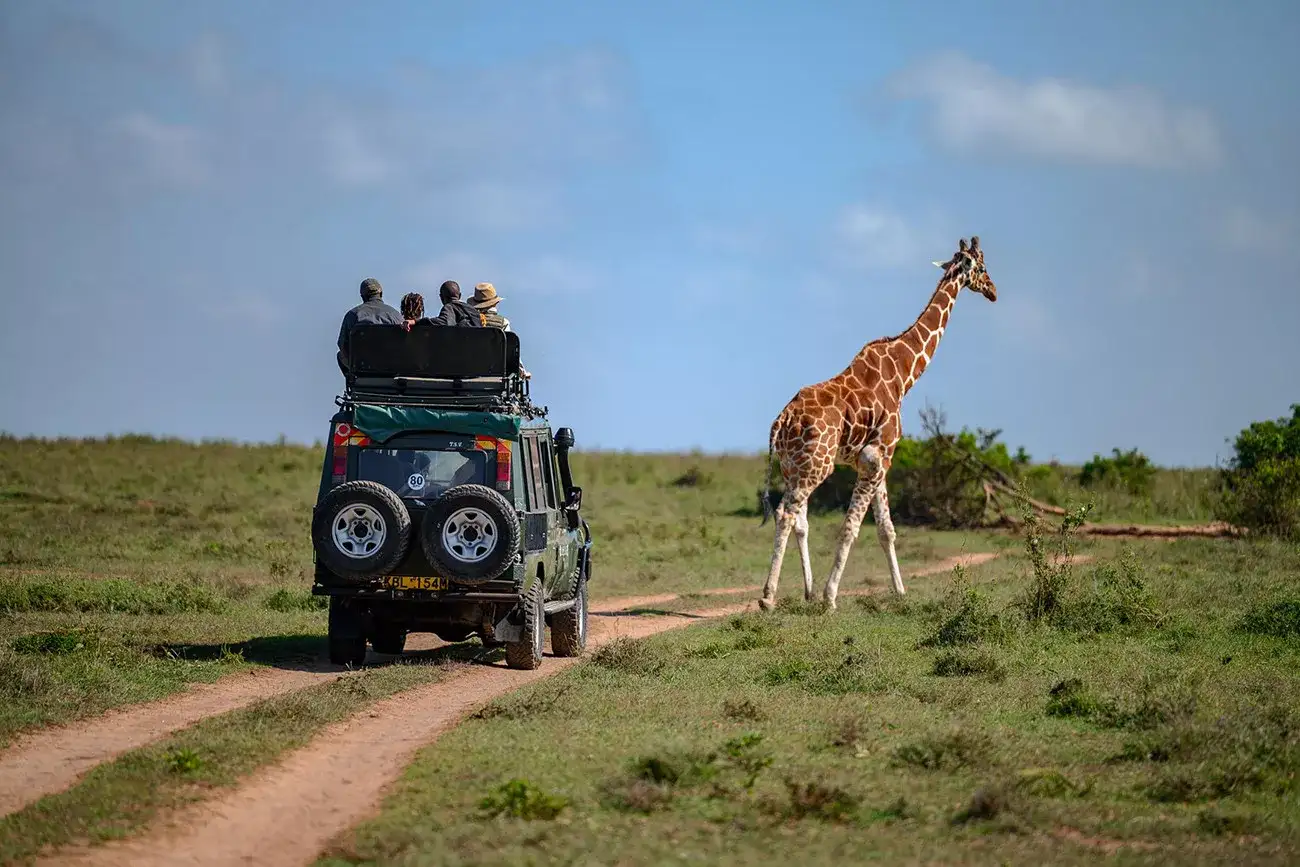 Pacote de viagem Aventura no Quênia ao Pôr do Sol em Solio Lodge