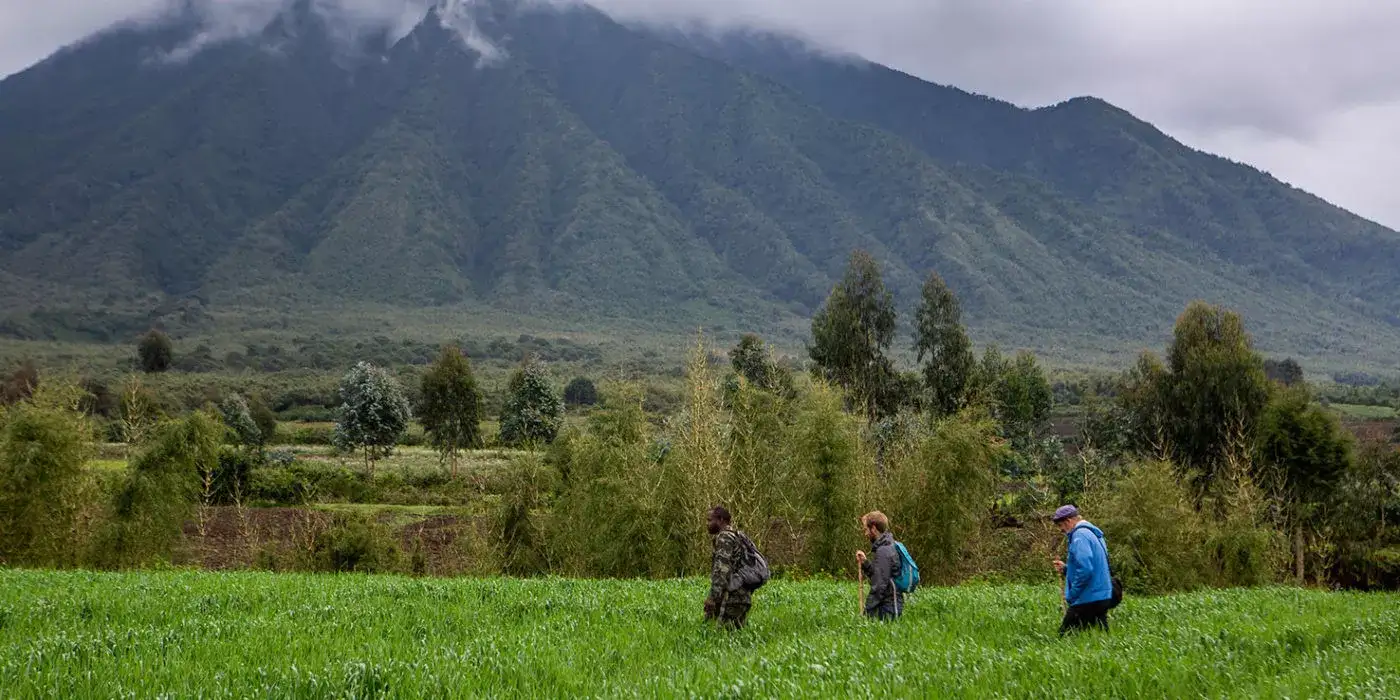 Ruanda Bisate
