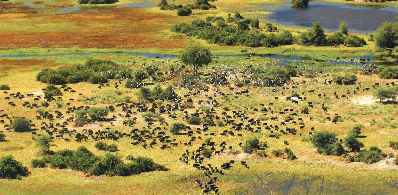 Pacote de viagem Your Botswana Teenage Family Safari