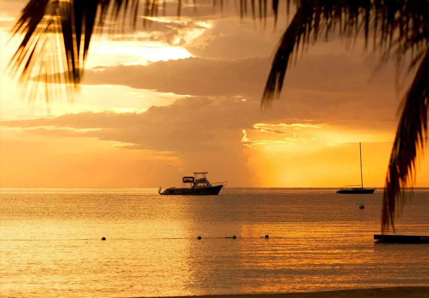Pacote de viagem Jamaica saindo de Brasília