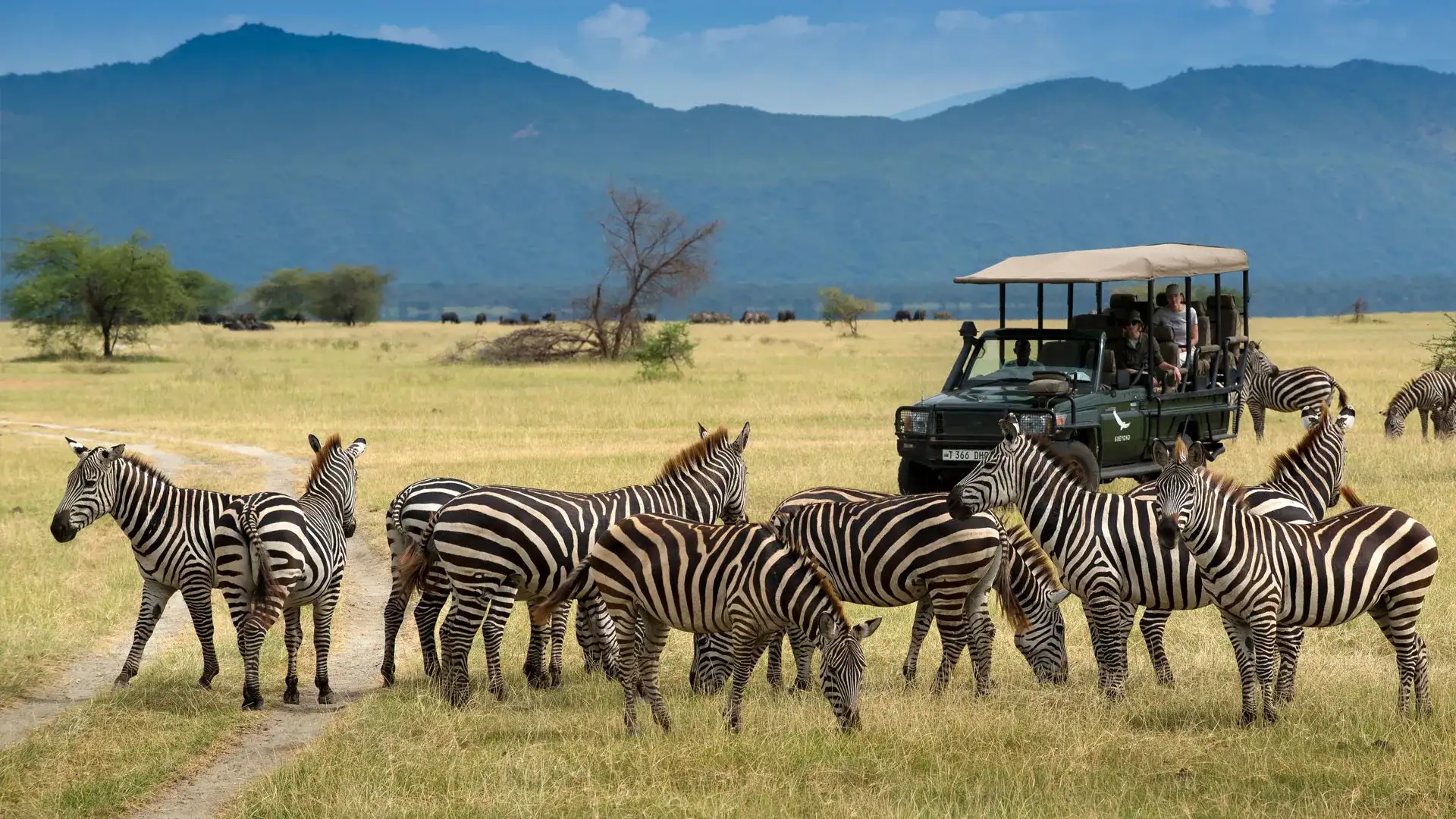 Pacote de viagem Descubra a diversidade na África Oriental