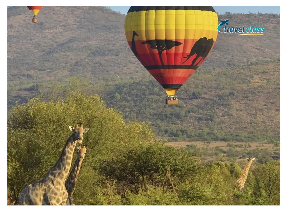 Pacote de viagem Sun City and Safari Experience
