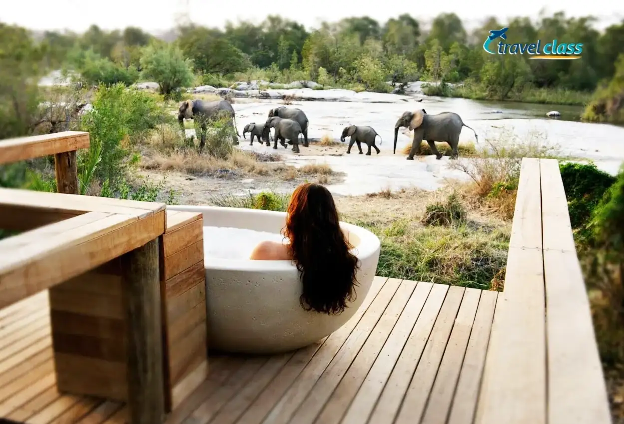 Safari em Sabi Sand & Table Mountain Tour – Deluxe