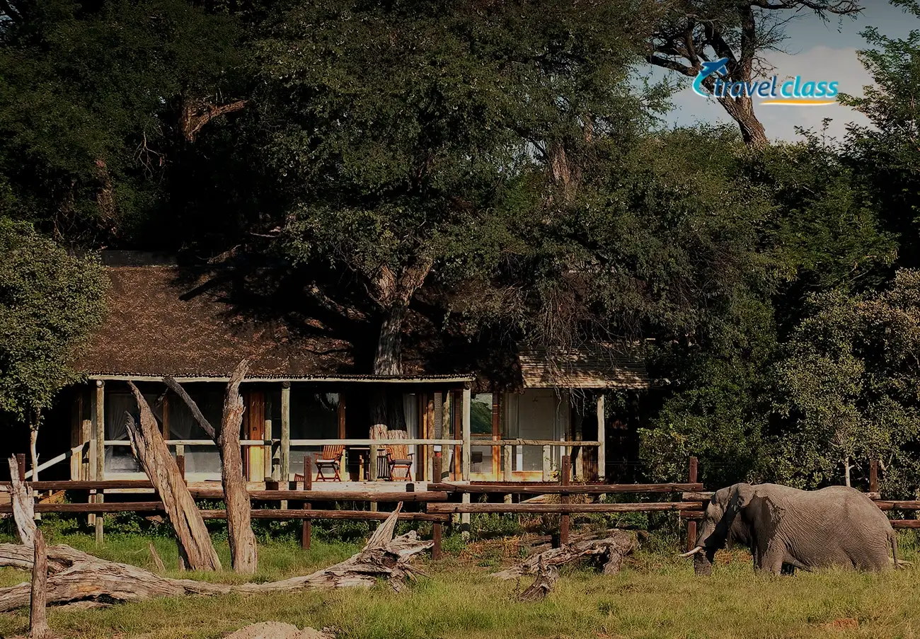 Safari Luxury em Phinda e Sabi Sand
