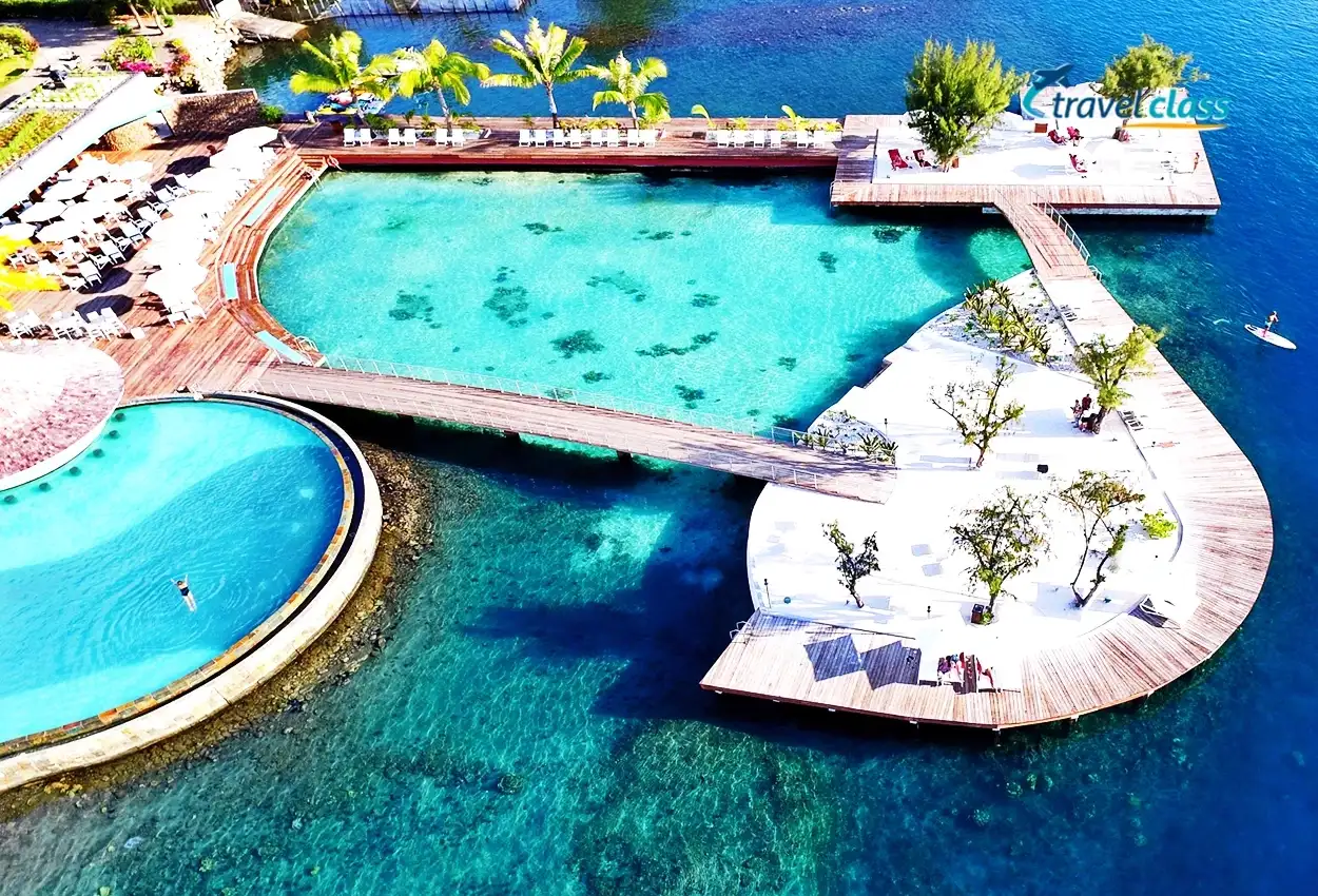 Coral Garden