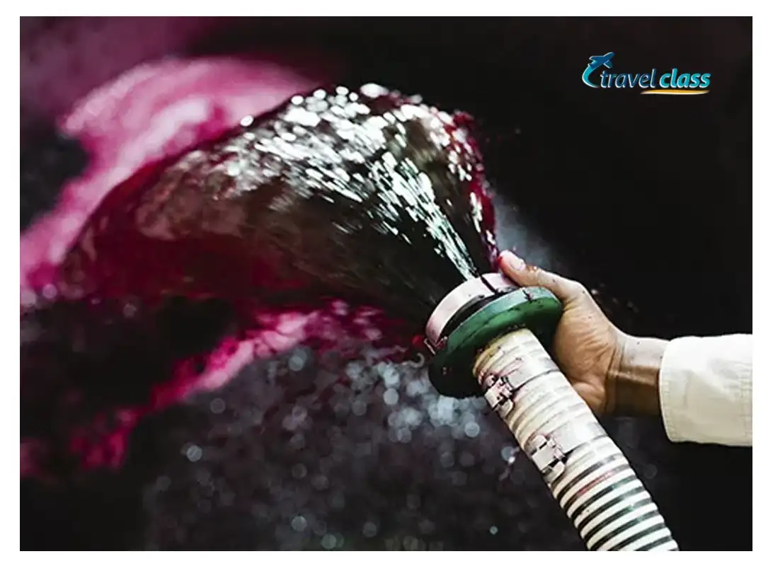 vinho tinto