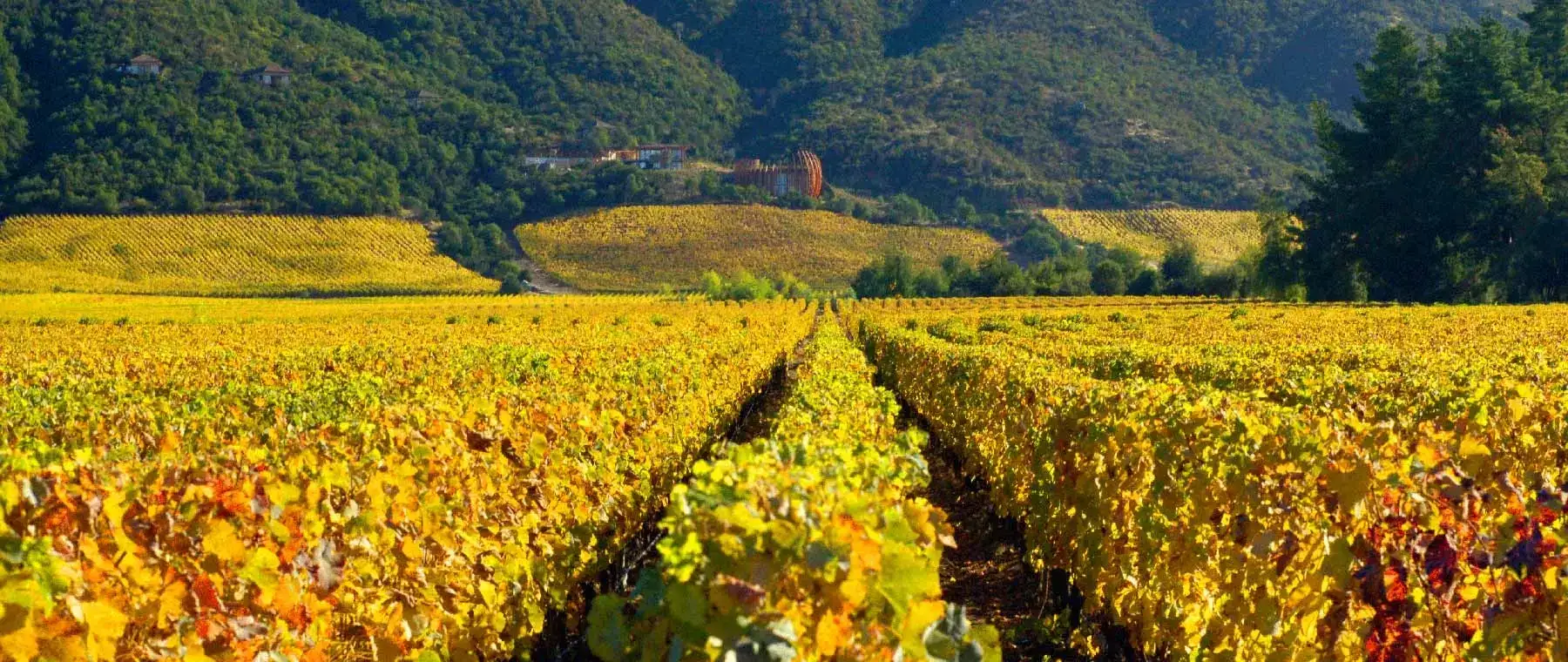Pacote de viagem Vinícola Clos Apalta