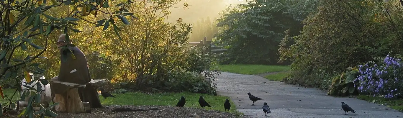 Pacote de viagem Montanhas Rochosas a Vancouver
