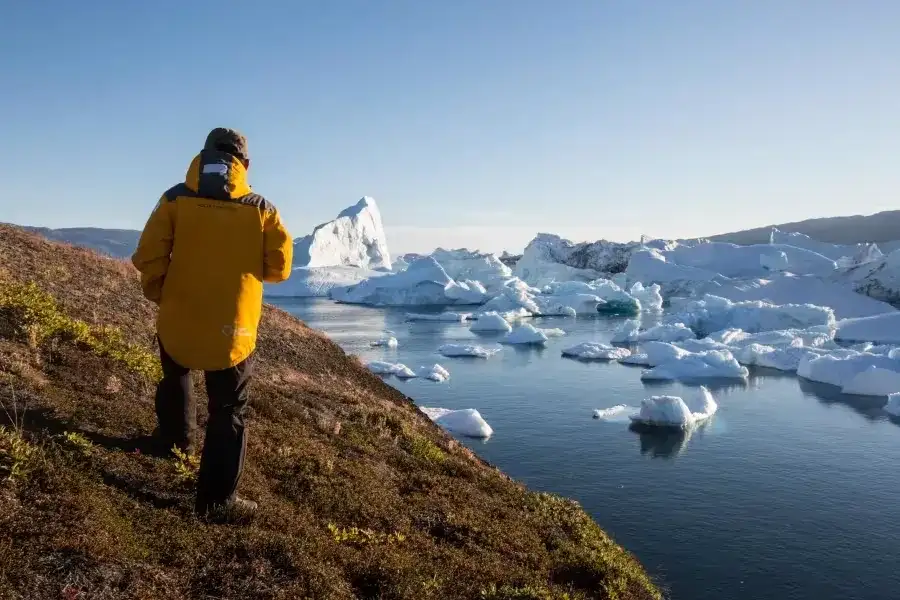 Avistando Icebergs, Groenlândia