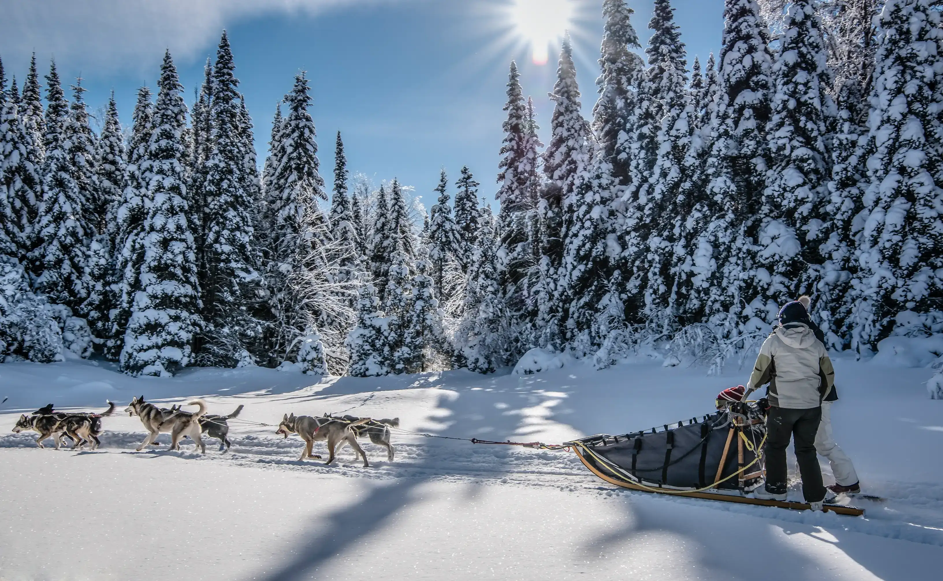 Pacote de viagem Experiência de Inverno em Montreal e Tremblant