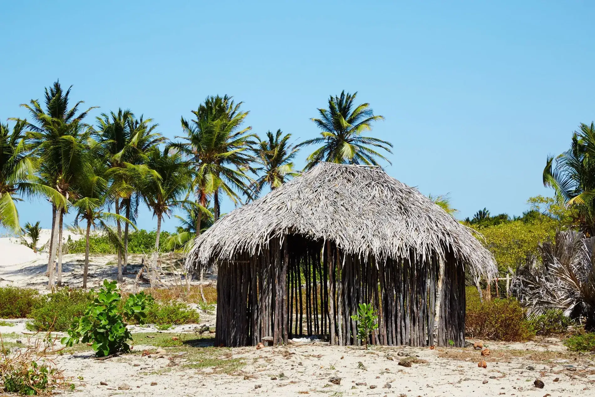 brasil-maranhao-laferme
