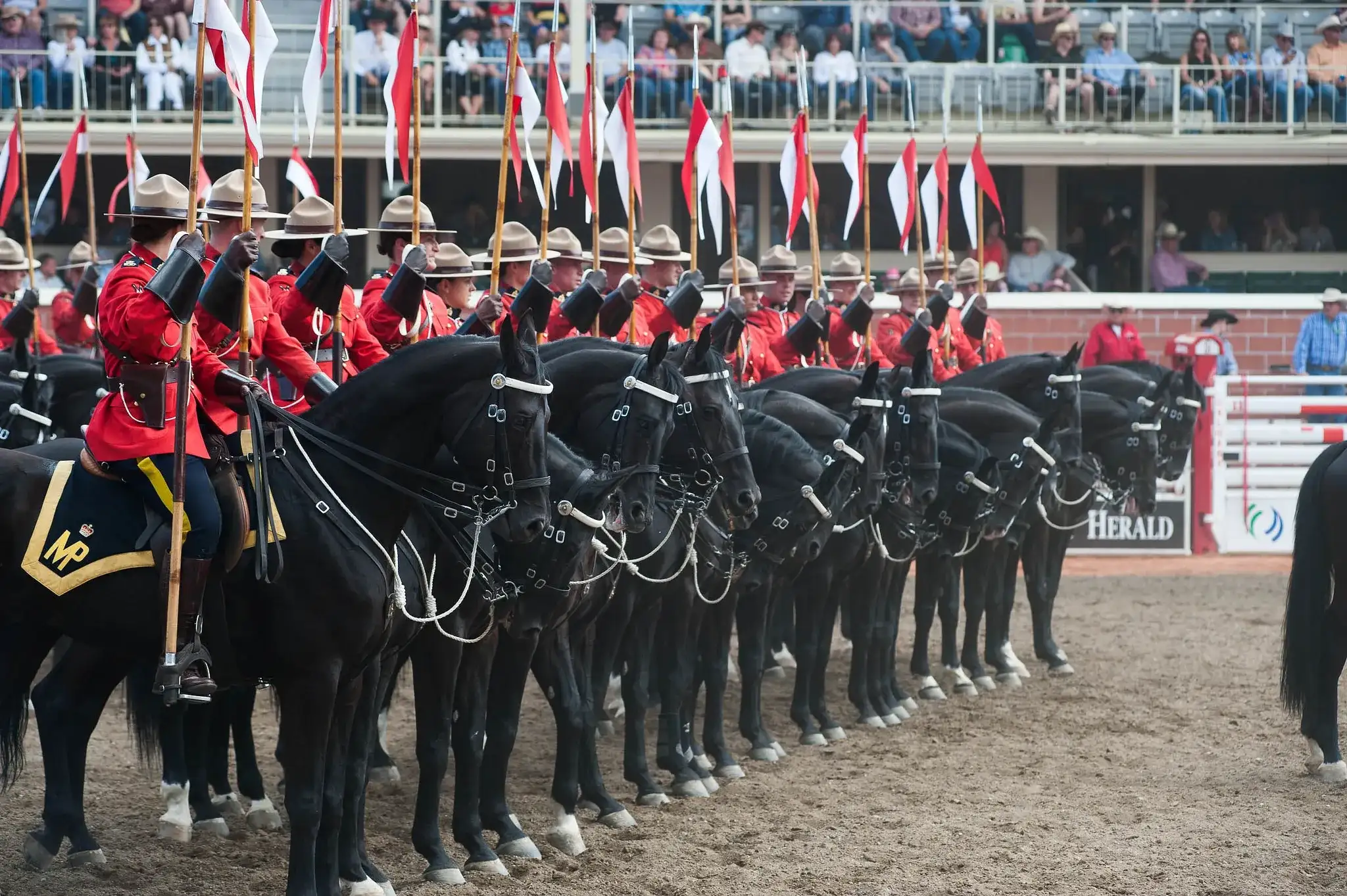 Pacote de viagem Especial Calgary Stampede