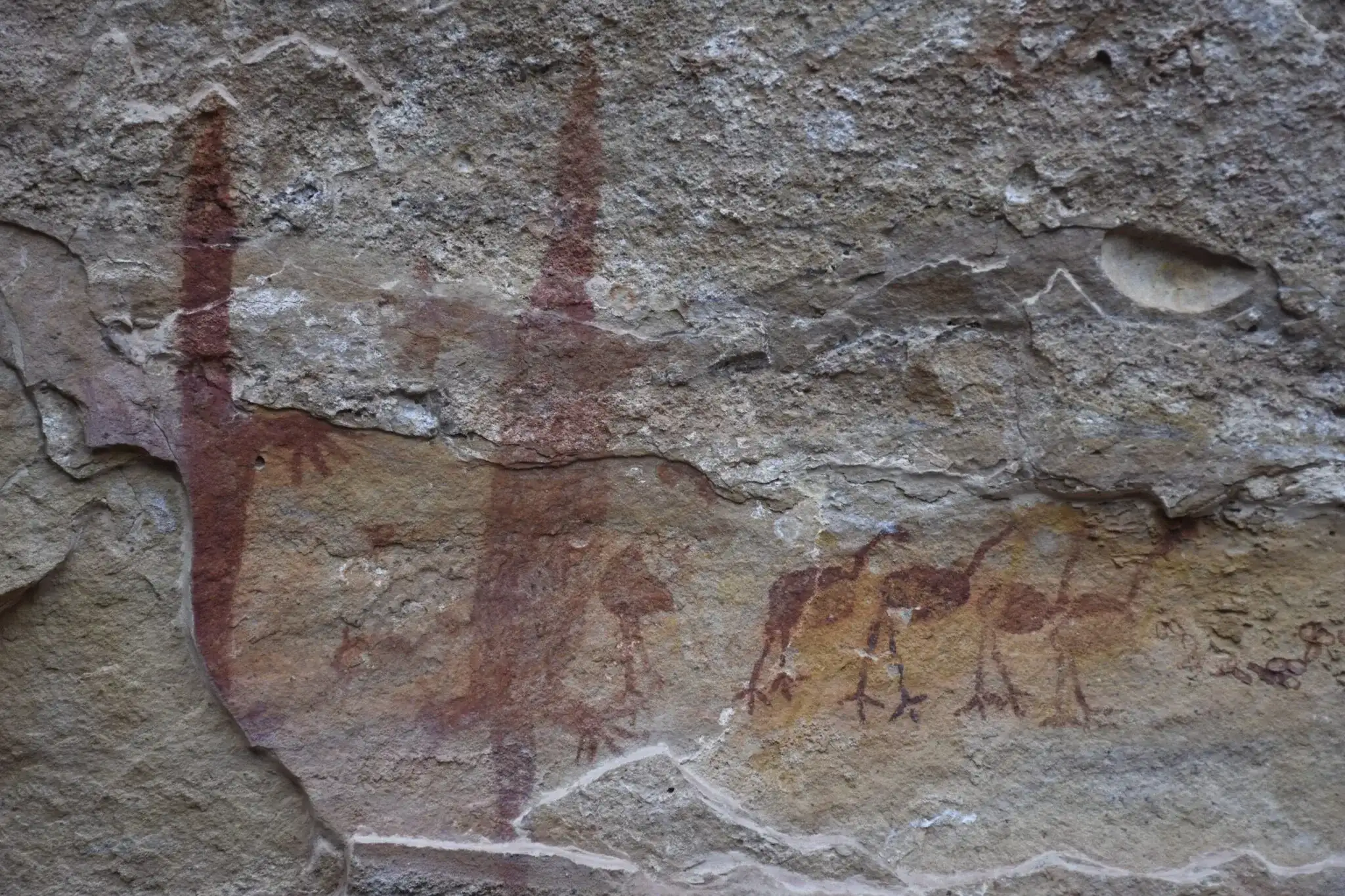 Pintura Rupestre, Serra da Capivara