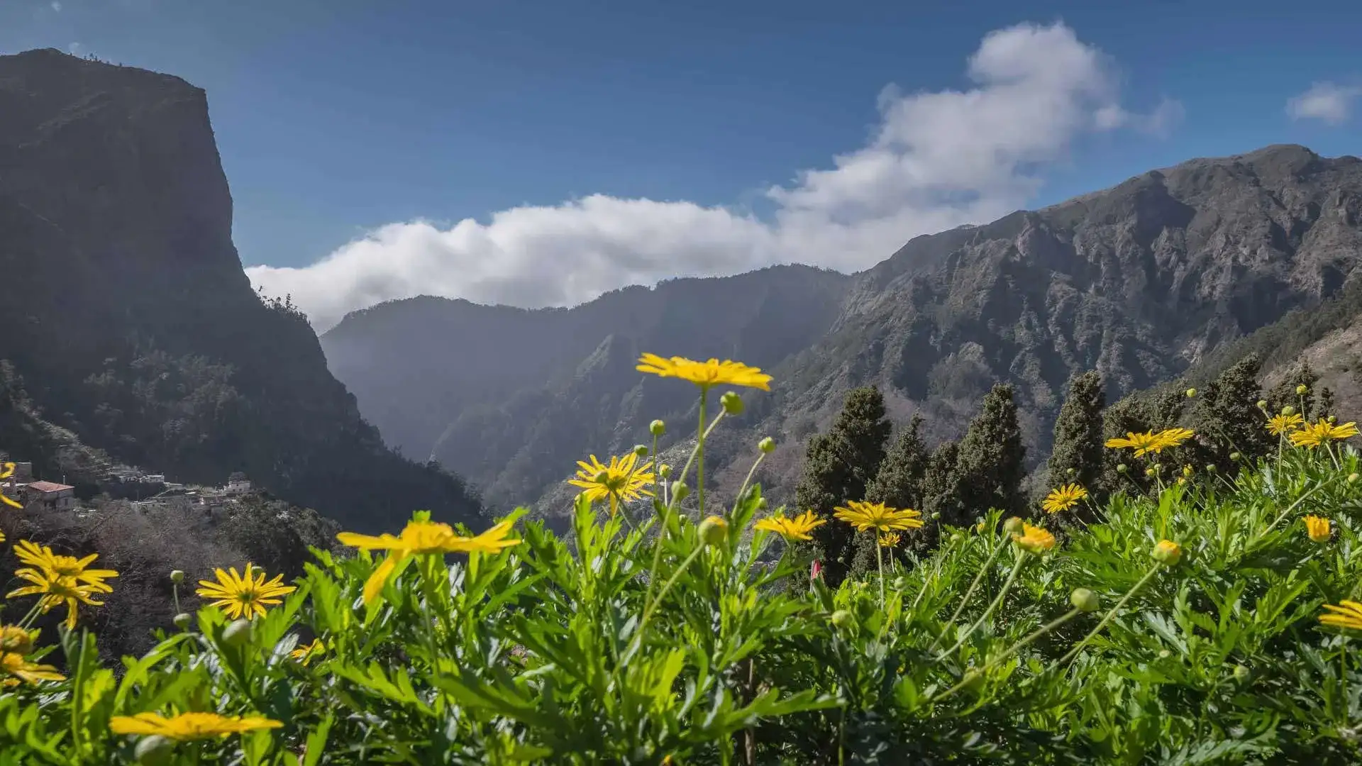 Pacote de viagem Madeira e Lisboa