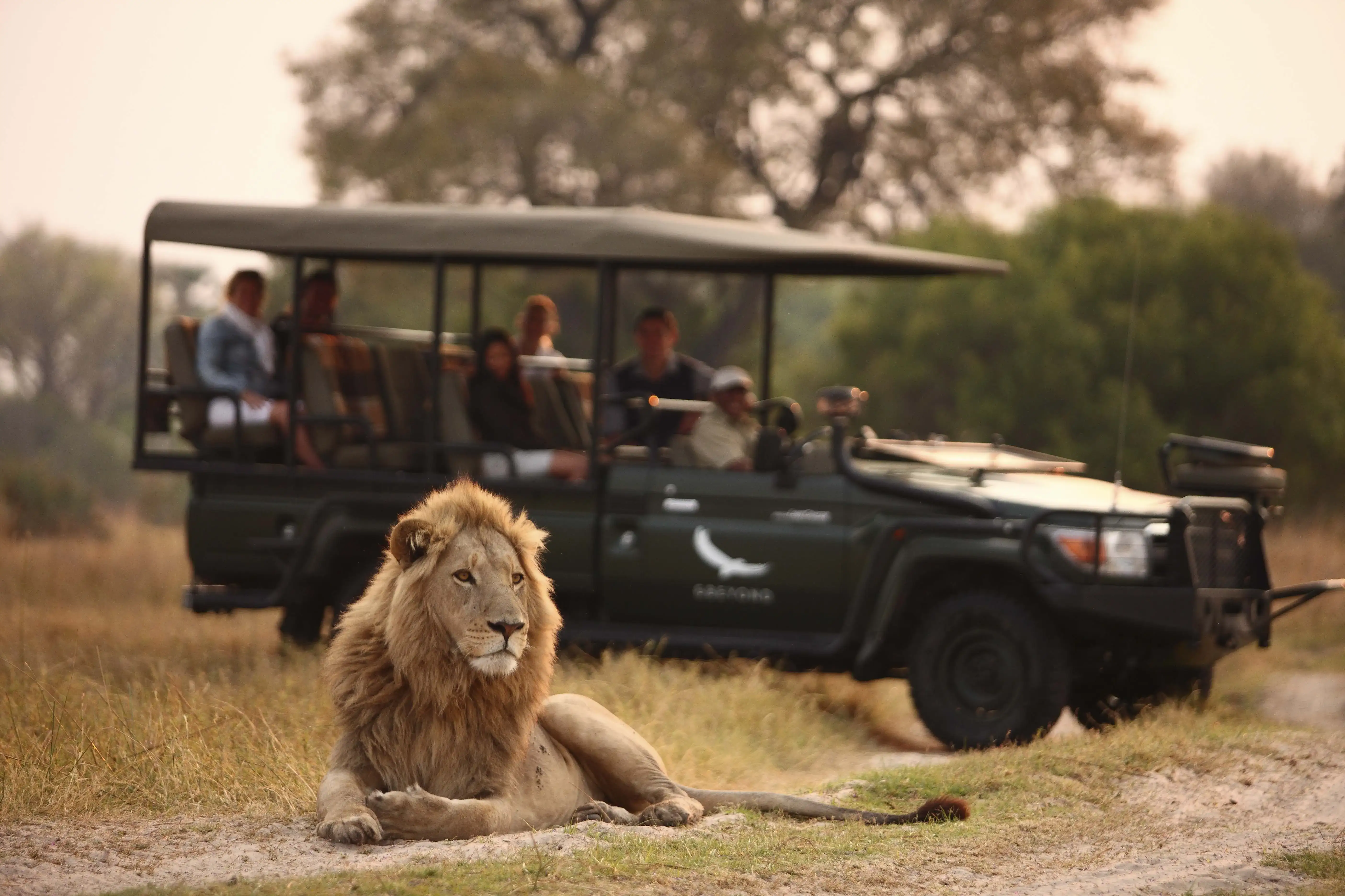 Botswana - andBeyond Sandibe Okavango Safari Lodge