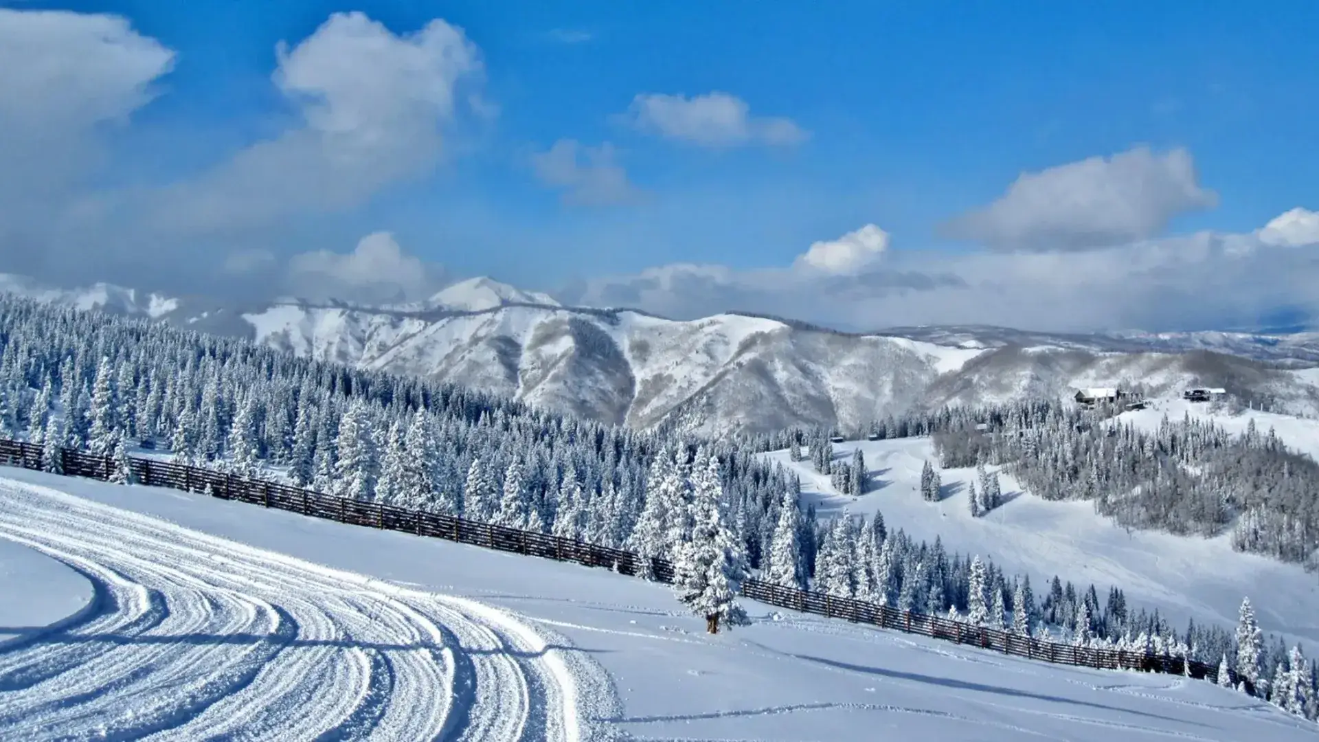 Aspen