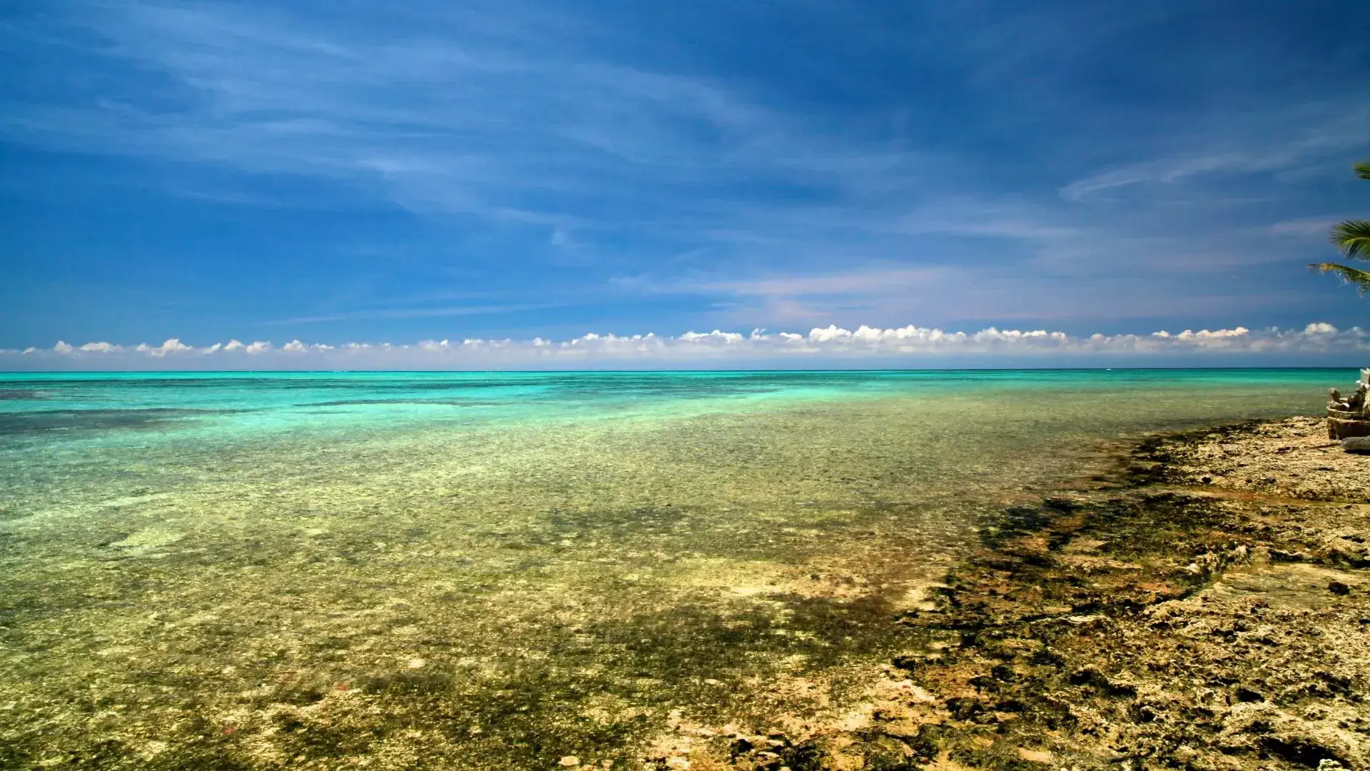 San Andrés