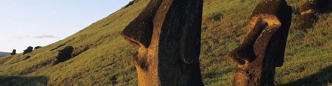 Pessoa em camelo no deserto