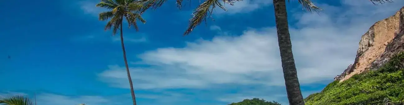Pessoa em camelo no deserto