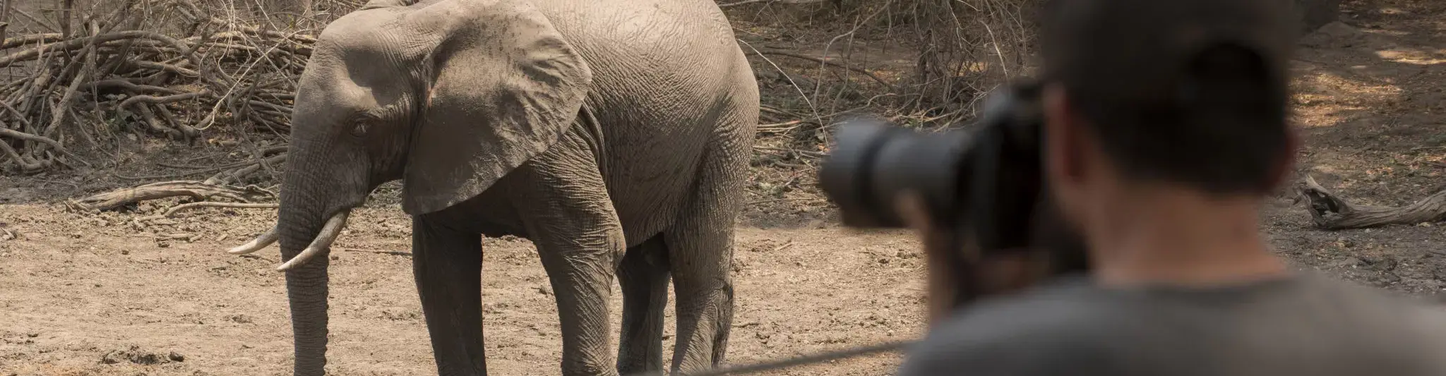 Pessoa em camelo no deserto