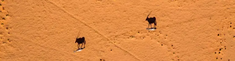 Pessoa em camelo no deserto
