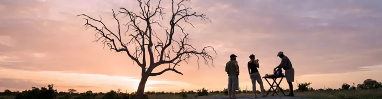 Pessoa em camelo no deserto