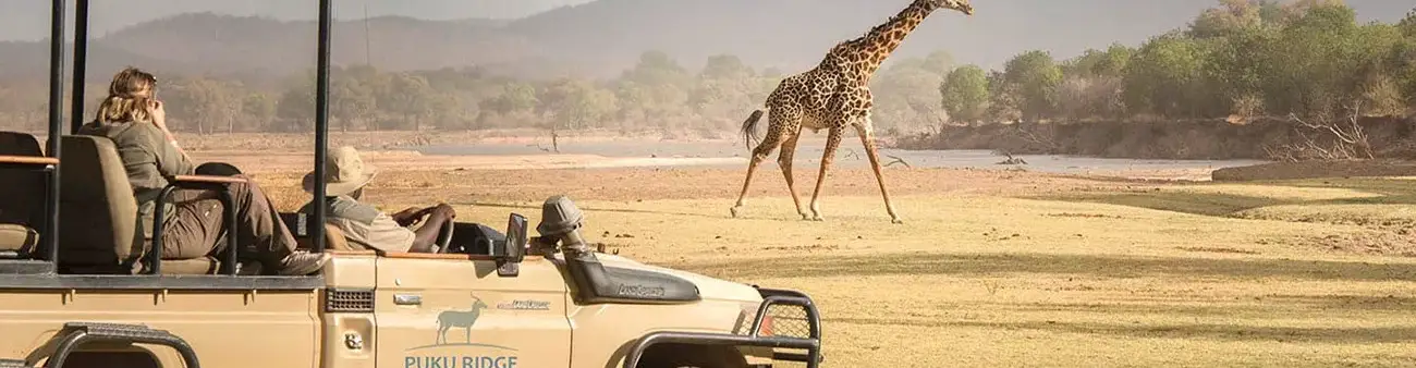 Pessoa em camelo no deserto
