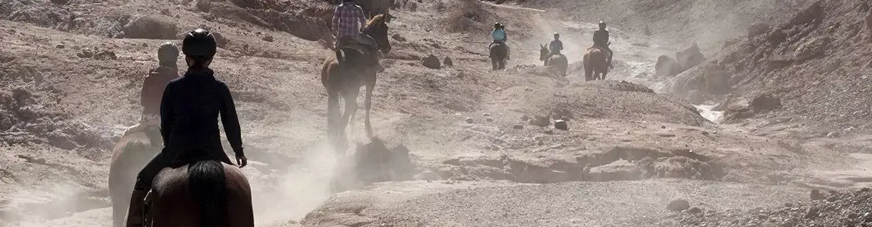 Pessoa em camelo no deserto
