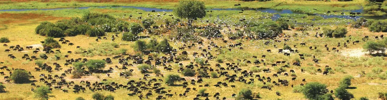 Pessoa em camelo no deserto
