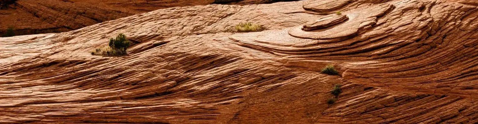 Pessoa em camelo no deserto