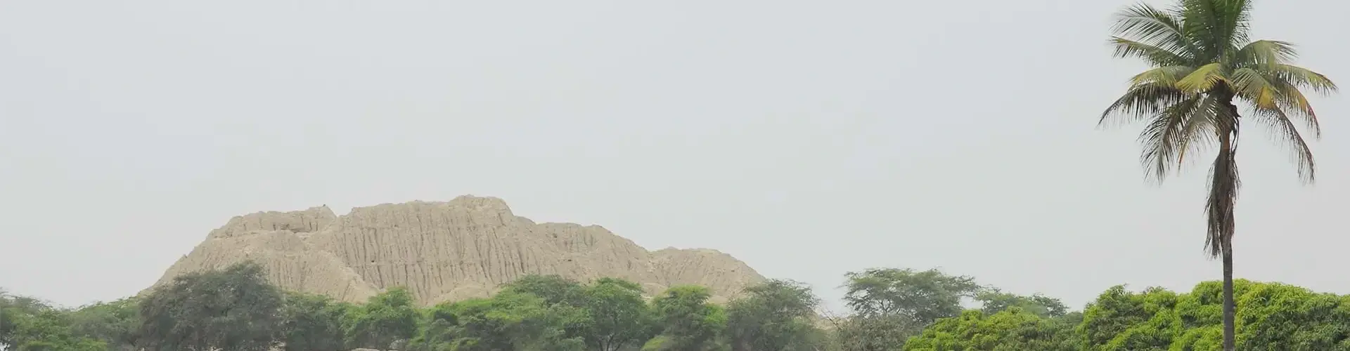 Pessoa em camelo no deserto