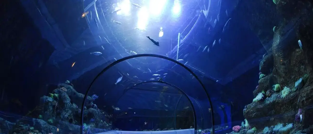 Túnel do Aquarium de Québec