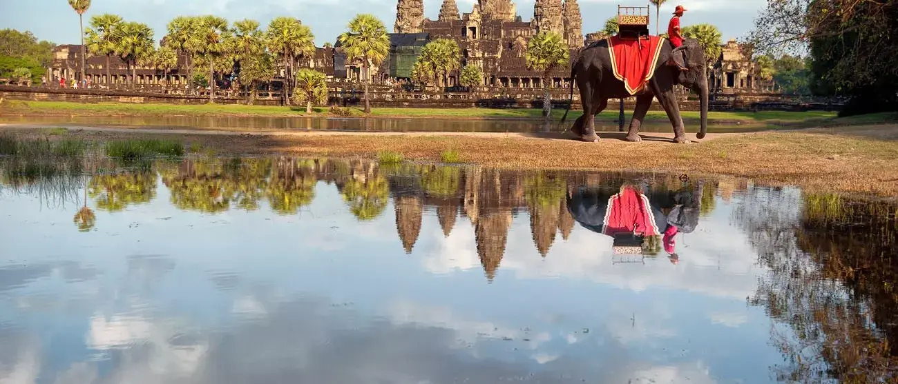 Angkor wat khmer templo fotografia de paisagem com elefante.